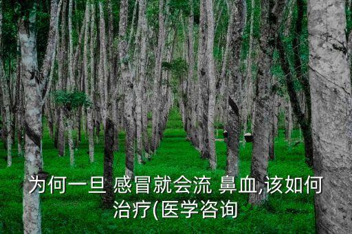 感冒流鼻血,喝水少或者上火嚴(yán)重毛細(xì)血管會(huì)破裂