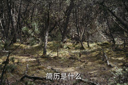 簡歷解析，簡歷是什么意思