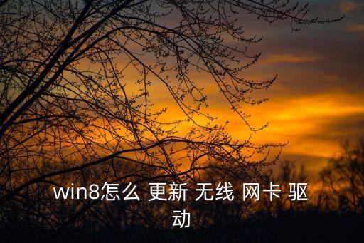 win8怎么 更新 無線 網卡 驅動