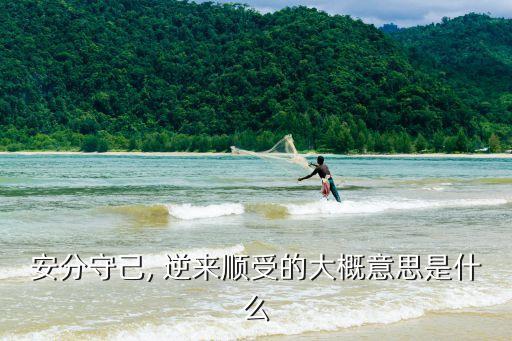 逆來順受是什么意思啊,逆來順受和妥協之爭的結果