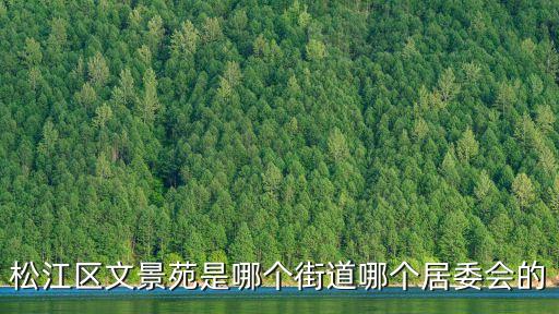 上海市松江區久陽文華府邸居委會電話，松江區文景苑是哪個街道哪個居委會的