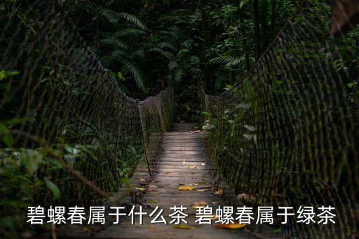 碧螺春屬于什么茶,碧螺春茶葉比較涼，產于江蘇蘇州洞庭中山