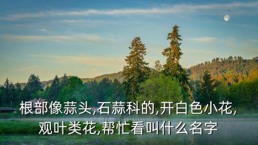 蟑螂花,石蒜是花名!地上的一個(gè)雷!