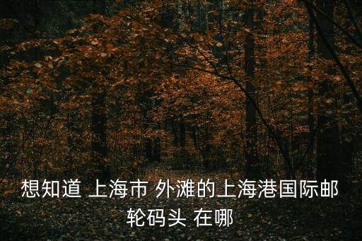 想知道 上海市 外灘的上海港國際郵輪碼頭 在哪