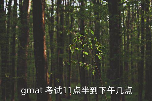 gmat考試時(shí)間,gmat考試時(shí)間分為上下午和晚上