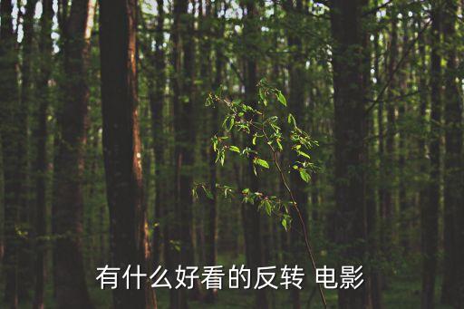 俱樂部的目的電影,蝙蝠俠逃離家園接受特殊訓練配備武器
