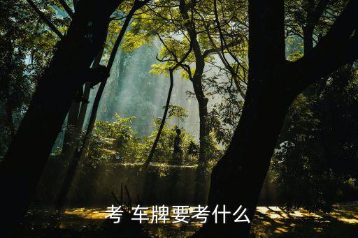考車牌流程,第四步交費后到車管大廳車牌窗口選號領車牌
