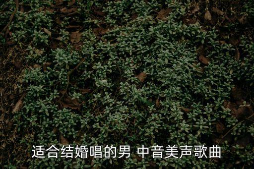 適合結婚唱的男 中音美聲歌曲