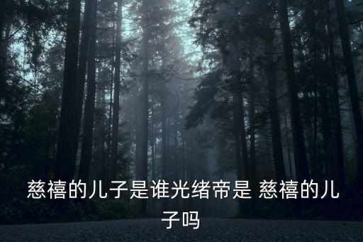 慈禧的兒子,光緒皇帝不是慈禧親生兒子而是乾禧養子