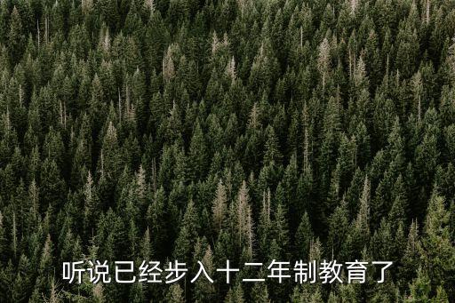 個(gè)別醞釀，聽(tīng)說(shuō)已經(jīng)步入十二年制教育了