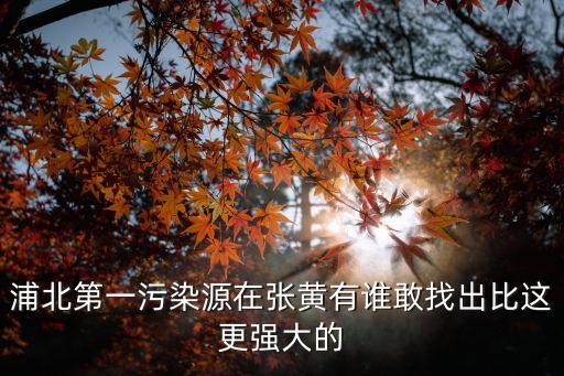 上海市浦北區污染案，最近熱點新聞