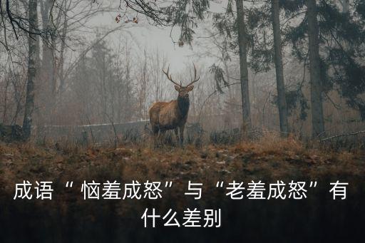 成語“ 惱羞成怒”與“老羞成怒”有什么差別