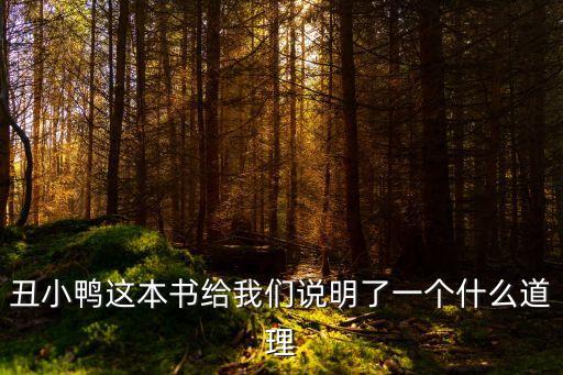 丑小鴨這本書給我們說明了一個(gè)什么道理