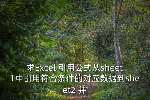 求Excel 引用公式從sheet1中引用符合條件的對應數據到sheet2 并