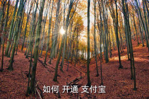 開通支付寶,支付寶如何用戶登陸和使用