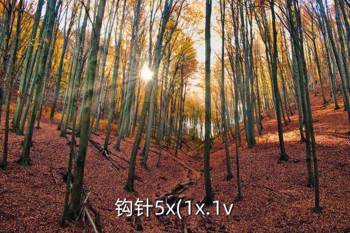 勾針,突尼斯鉤針編織方法與阿富汗毛線相同