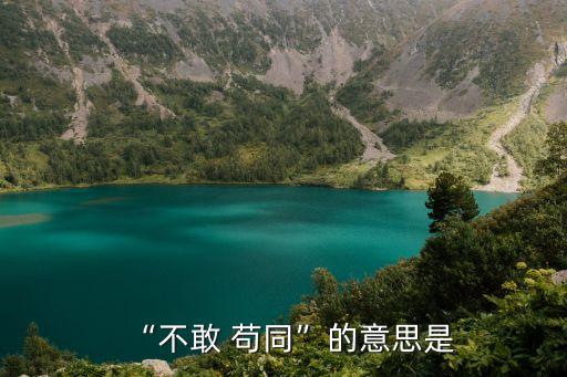 茍同的意思,不能茍同反義詞:彼此沒共同之處但不能認同
