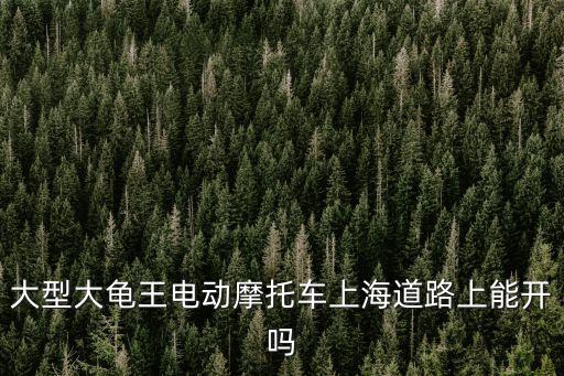 大型大龜王電動摩托車上海道路上能開嗎