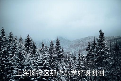 上海閔行區那個小學好呀謝謝
