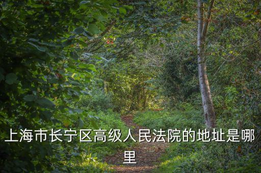 上海市長寧區人民法院立案庭庭長，上海市長寧區高級人民法院的地址是哪里
