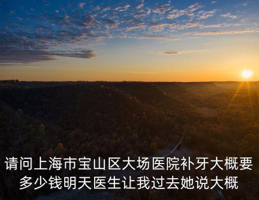 請問上海市寶山區(qū)大場醫(yī)院補(bǔ)牙大概要多少錢明天醫(yī)生讓我過去她說大概