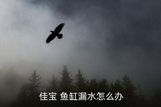 佳寶魚缸,廣東振華電器有限公司jebo佳寶系列缸缸品牌