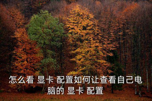 怎么看 顯卡 配置如何讓查看自己電腦的 顯卡 配置