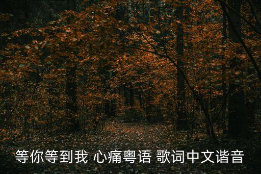 等你等到我心痛歌詞,粵語諧音主唱:張學友等著你等到我心碎