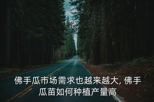  佛手瓜市場需求也越來越大, 佛手 瓜苗如何種植產量高