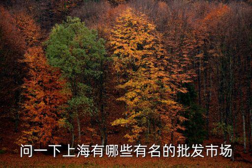 上海市批發(fā)市場都有哪些，問一下上海有哪些有名的批發(fā)市場