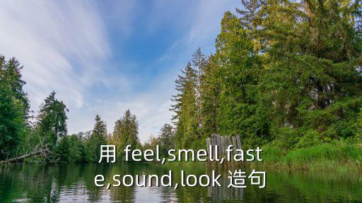 feel造句,武漢出現第一起確診病例