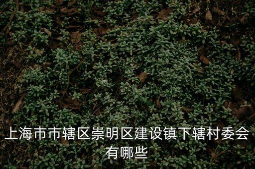 上海市市轄區崇明區建設鎮下轄村委會有哪些