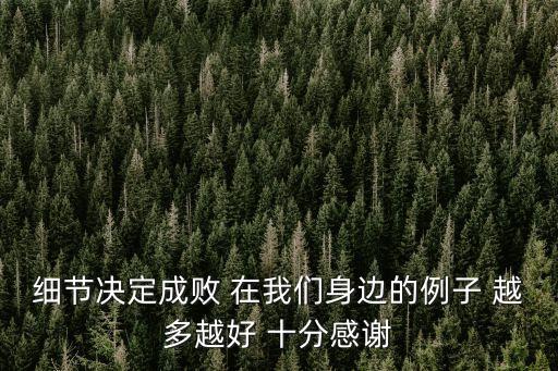 細節(jié)決定成敗的例子，細節(jié)決定成敗 在我們身邊的例子 越多越好 十分感謝