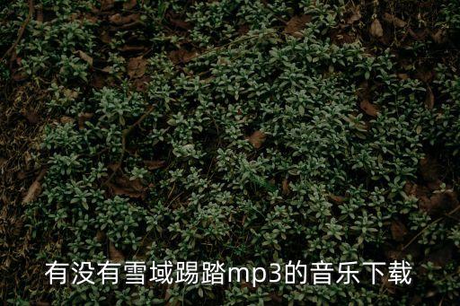 有沒有雪域踢踏mp3的音樂下載