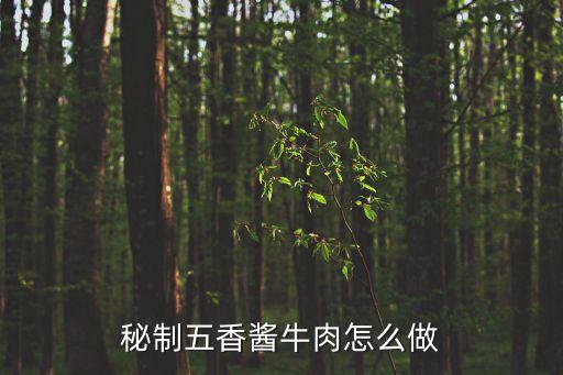 秘制五香醬牛肉怎么做