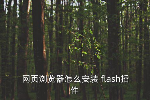  網(wǎng)頁瀏覽器怎么安裝 flash插件
