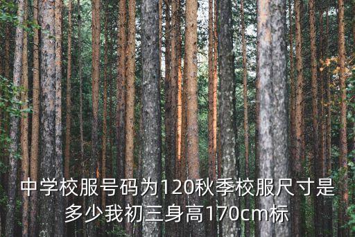 中學校服號碼為120秋季校服尺寸是多少我初三身高170cm標