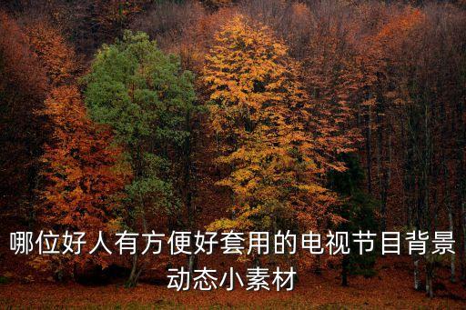 哪位好人有方便好套用的電視節目背景動態小素材