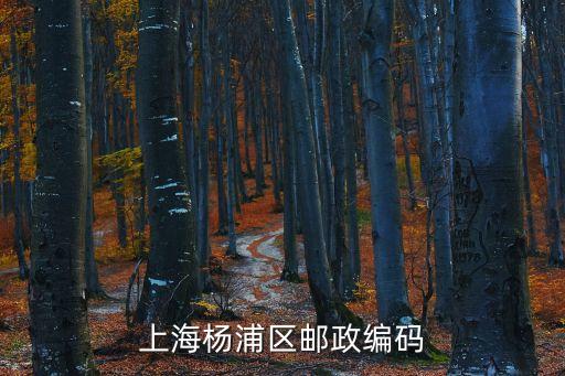 上海市楊浦區(qū)國曉路500弄郵編，上海楊浦區(qū)郵編是多少