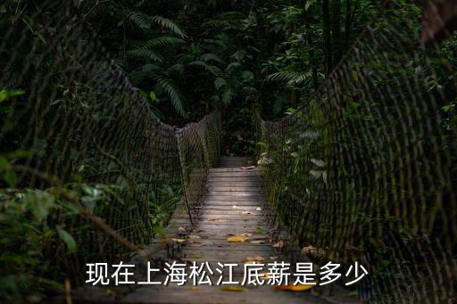 現在上海松江底薪是多少