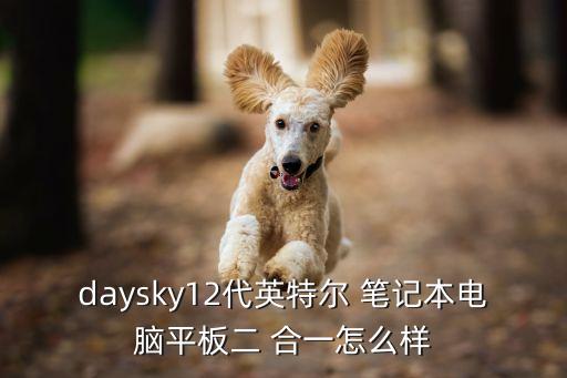 daysky12代英特爾 筆記本電腦平板二 合一怎么樣