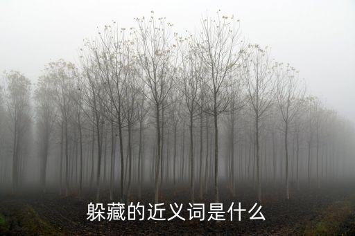 躲藏的近義詞是什么