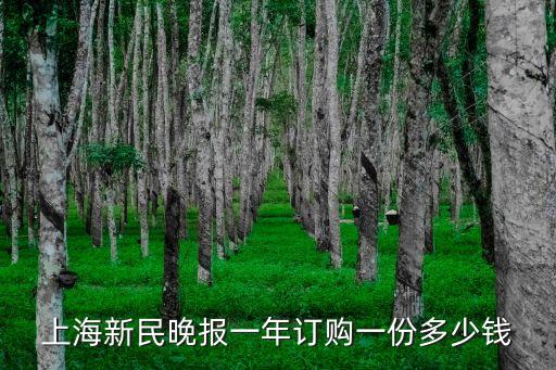 上海市全年藥品采購金額，2011年上海基本藥物招標公布目錄