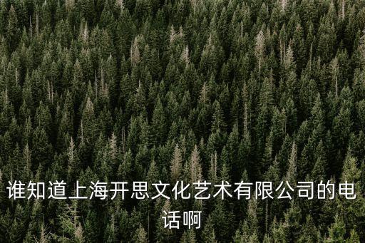 誰知道上海開思文化藝術(shù)有限公司的電話啊