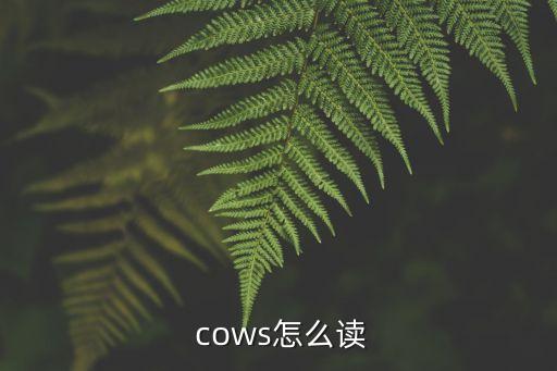 cow怎么讀,財富管理學院2020招聘新人