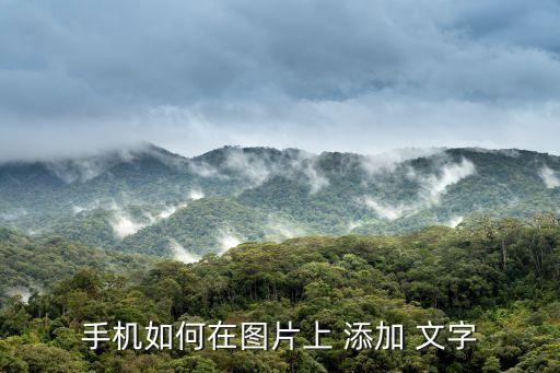 手機如何在圖片上 添加 文字