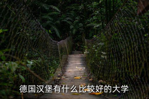 德國漢堡大學，請問德國漢堡大學怎么樣啊