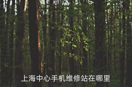 上海市群眾藝術館地址，這是上海那個地方詳細地址