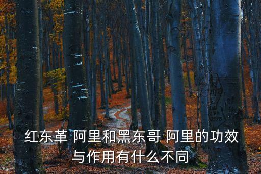  紅東革 阿里和黑東哥 阿里的功效與作用有什么不同