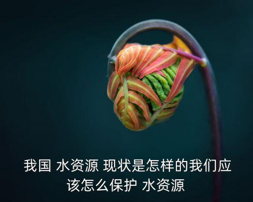  我國 水資源 現狀是怎樣的我們應該怎么保護 水資源